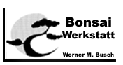 Bonsai-Werkstatt Werner M. Busch Bonsai-Werkstatt Werner M. Busch