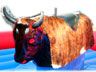 Rodeo-Reit-Simulator