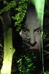 Lichtspuren - Baumgesicht
