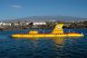 Submarine Safaris