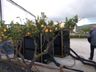 Heatpumps