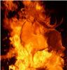 Ice & Fire Show