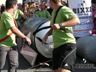 Das Turnier wird in Gruppen &agrave; mindestens 3 Mannschaften eingeteilt