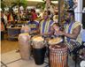 Drums & Percussions Boba