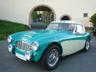 Austin Healey