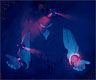 Die Blacklight-Show