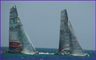 Regattafeeling auf America&acute;s Cuppern zum Teambuilding.