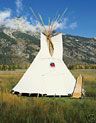 Tipi