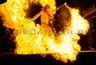 Feuerschweif