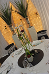 Galadinner