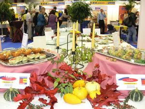 Hogana Hessen 2011 wieder in Gie�en