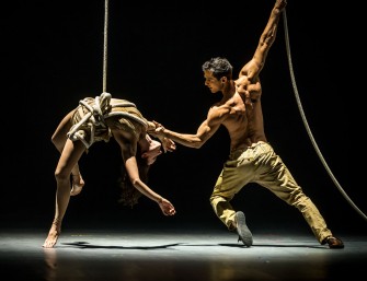 36. Festival Mondial du Cirque de Demain: Under Paris Stars