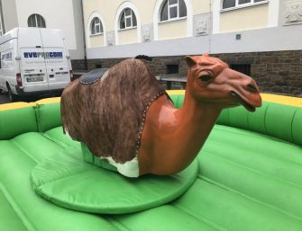 Bullriding mieten und Eventmodule finden bei EVEPROCOM