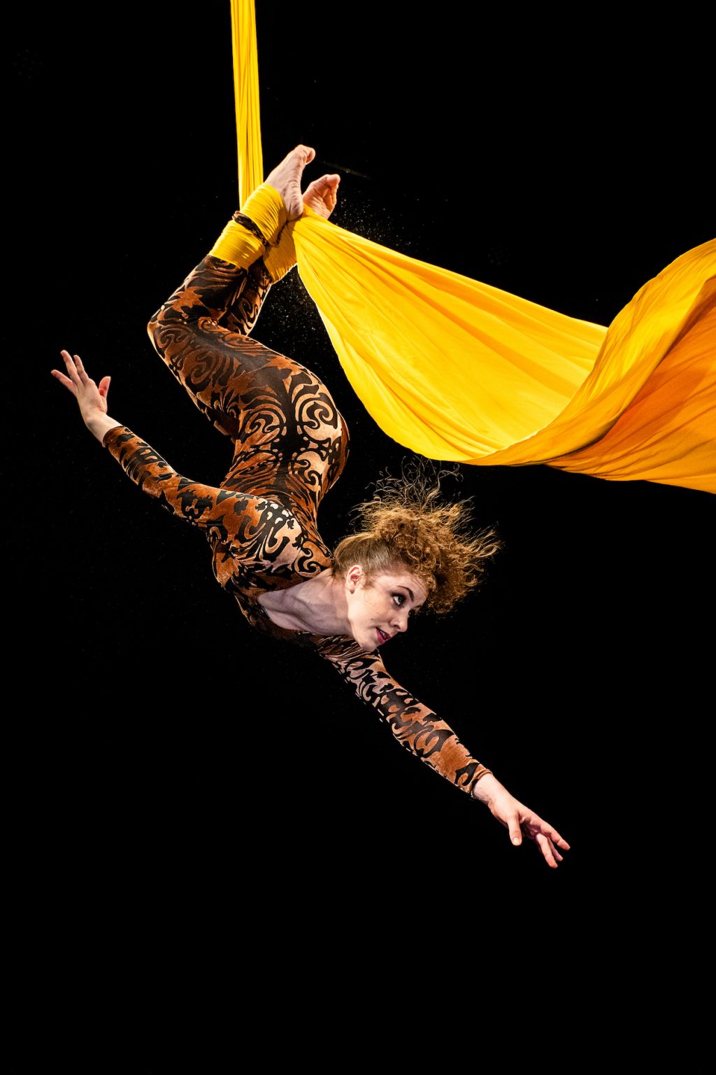 Aerial Artistin Veronica Fontanella Von Zuf llen Und Schicksal