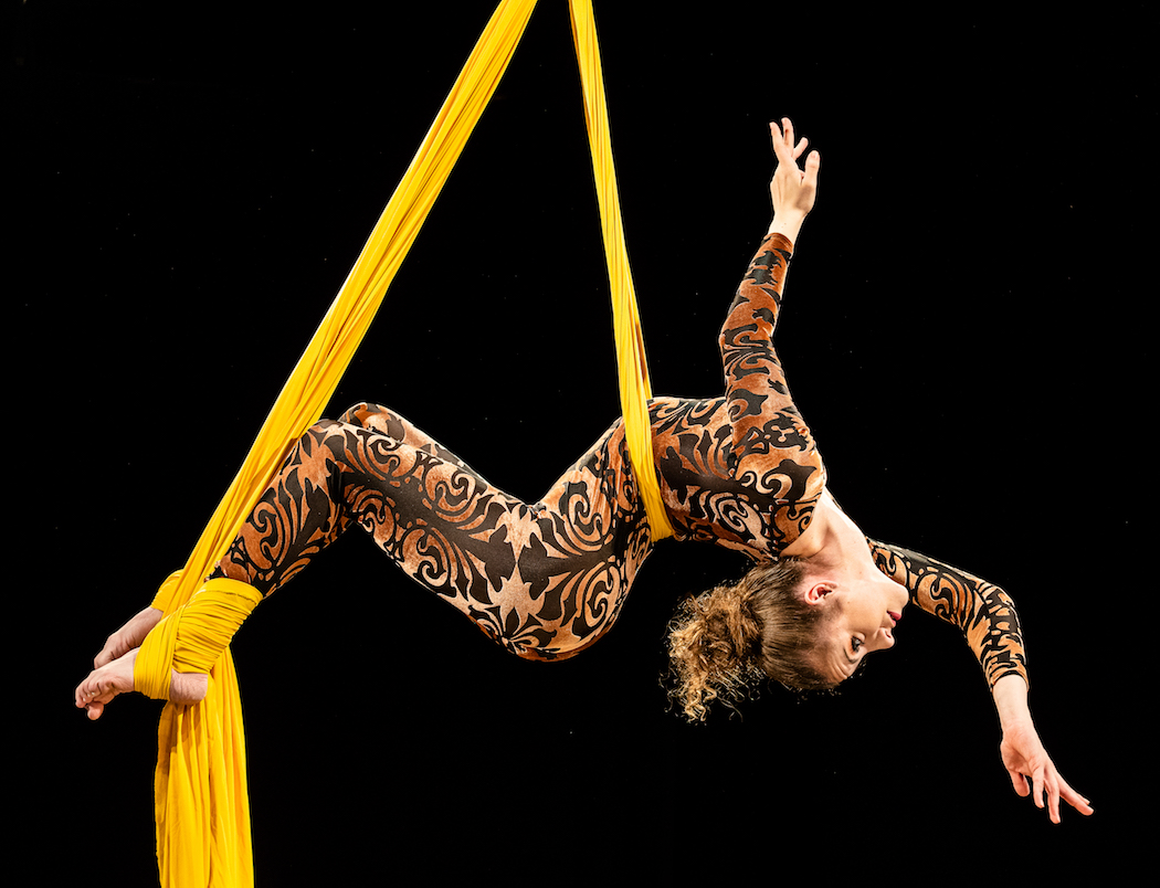 Aerial Artistin Veronica Fontanella Von Zuf llen Und Schicksal