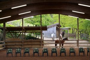 Die Reithalle von Bernd Osterhammel - hier findet das Outdoor-Führungskräfte-Coaching mit Pferden statt
