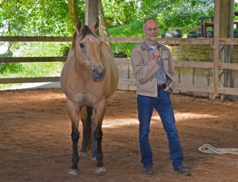 Outdoor-Führungskräfte-Coaching mit Pferden