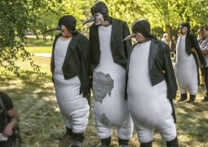 Die Pinguine von Theater Pikante auf dem Vormarsch.