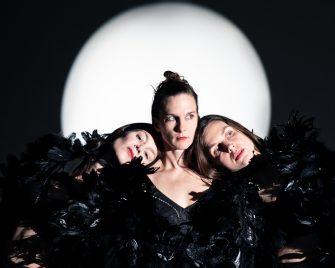 Rabenmütter — Eine artistische Auseinandersetzung