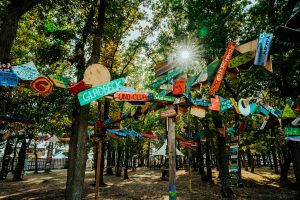 Kreative Holzschilder im ‚Schilderwald‘, von Besuchenden gestaltet.