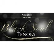 BLACK SOUL TENORS Logo