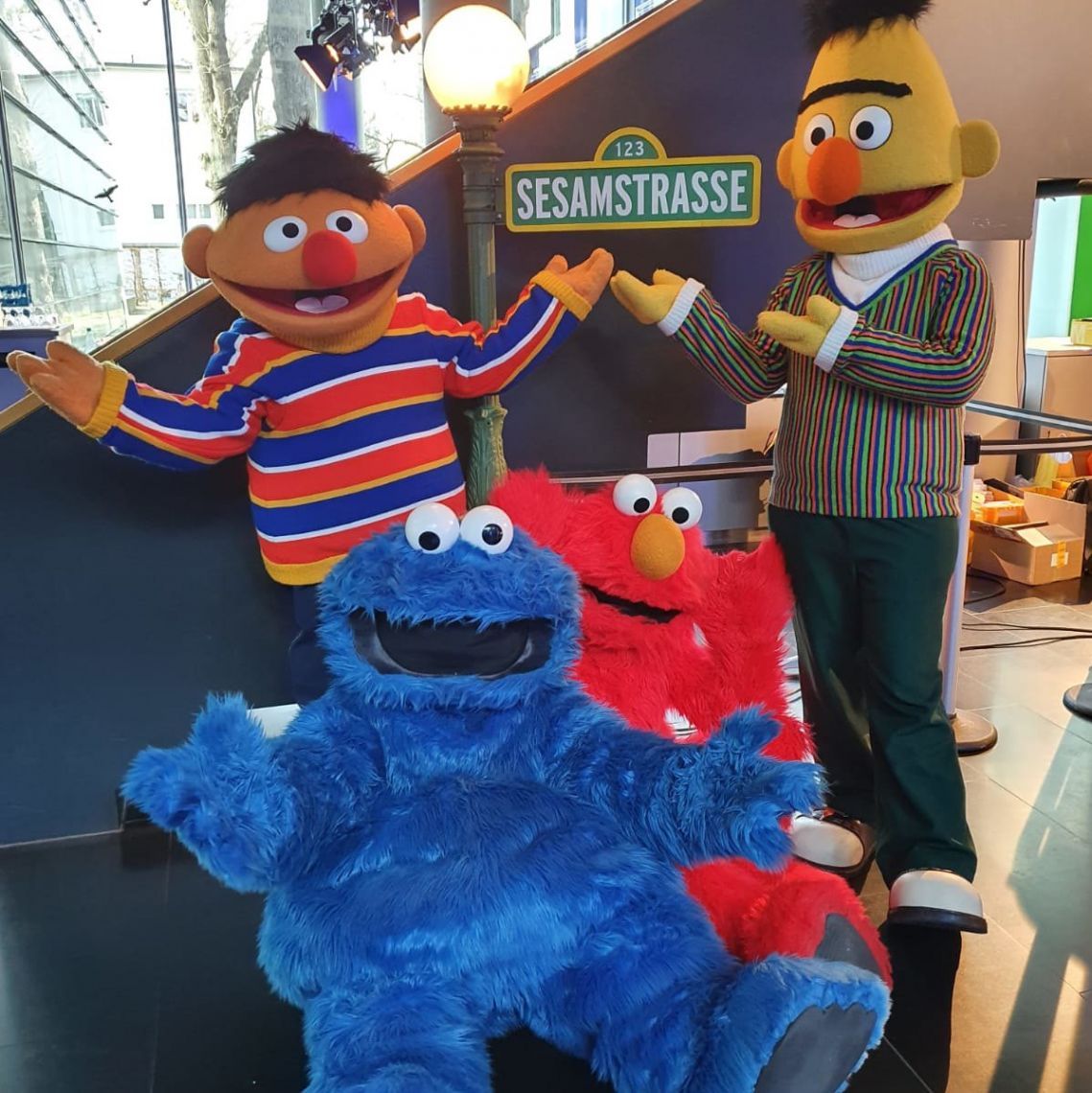 Ernie, Bert, Krümelmonster, Elmo